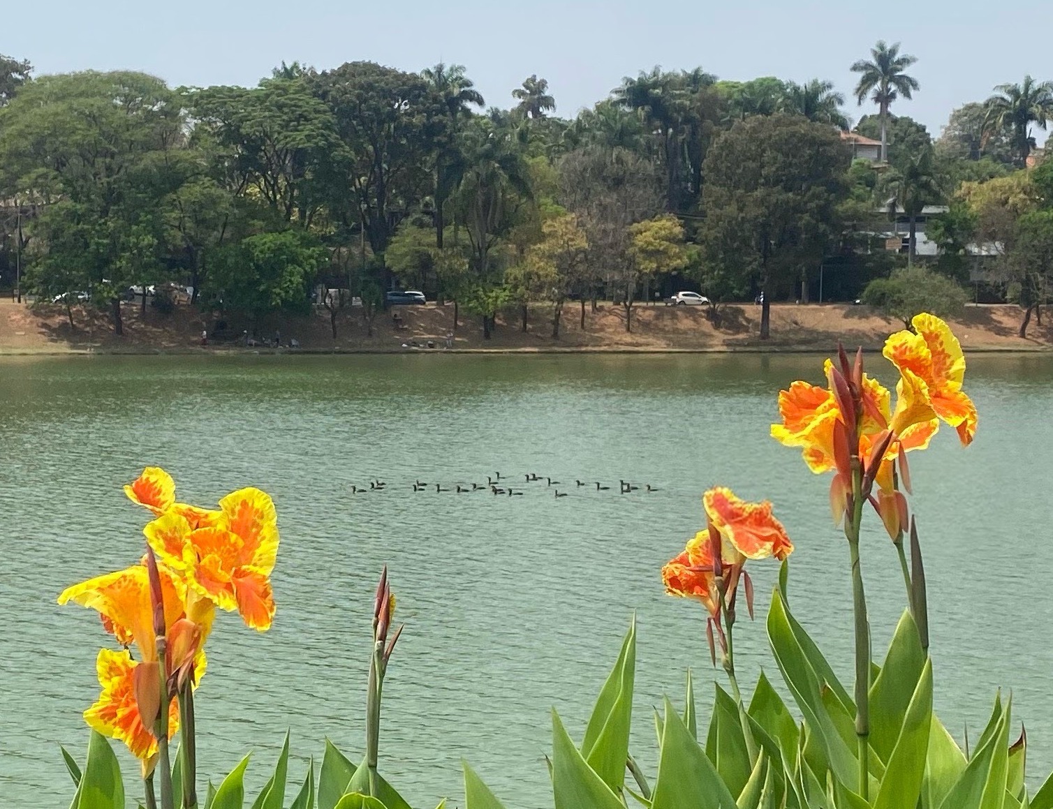 What’s Up World thumbnail